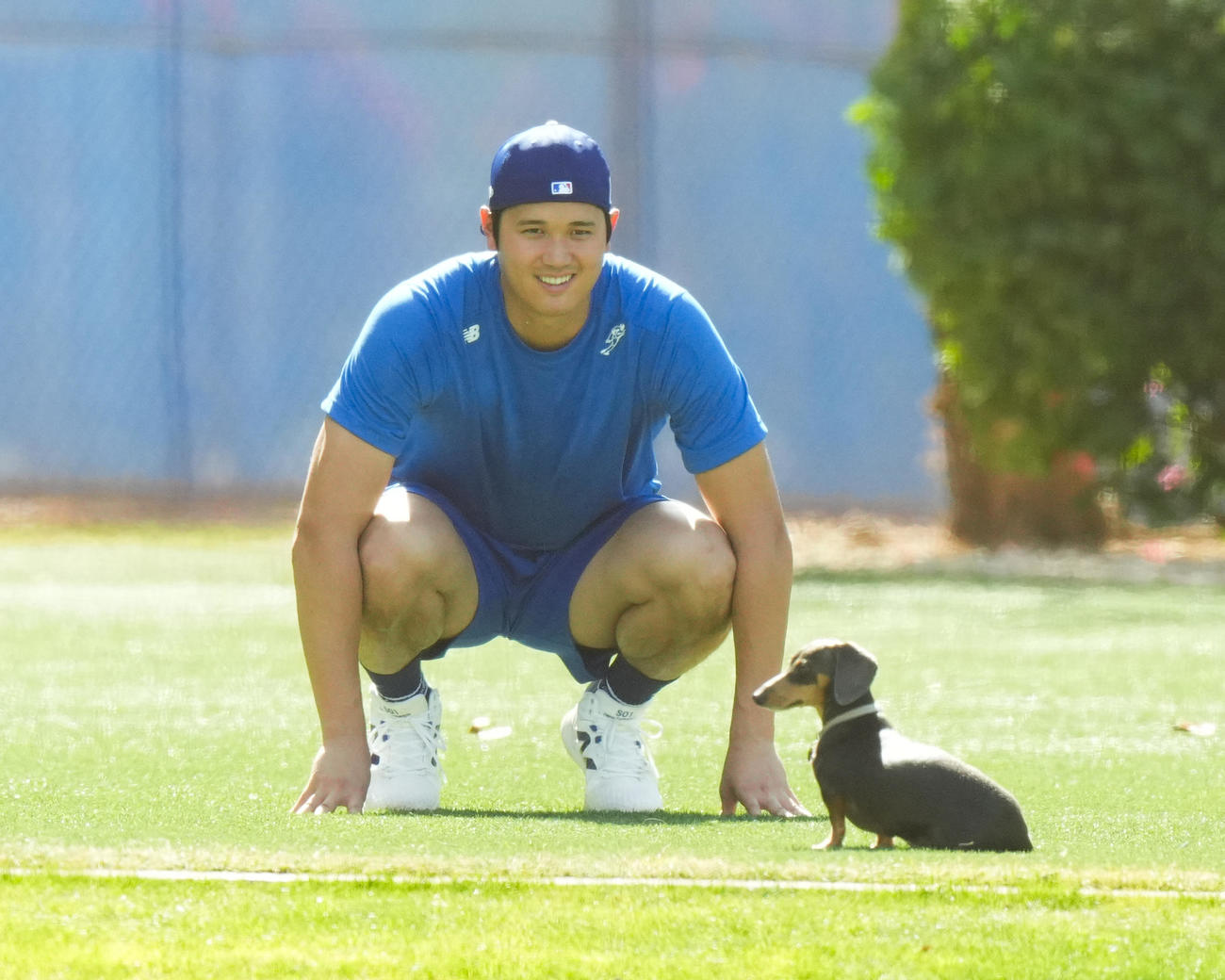 ドジャース春季キャンプ　フィールドで遊ぶかわいいワンちゃんを見つめるドジャース大谷（撮影・菅敏）