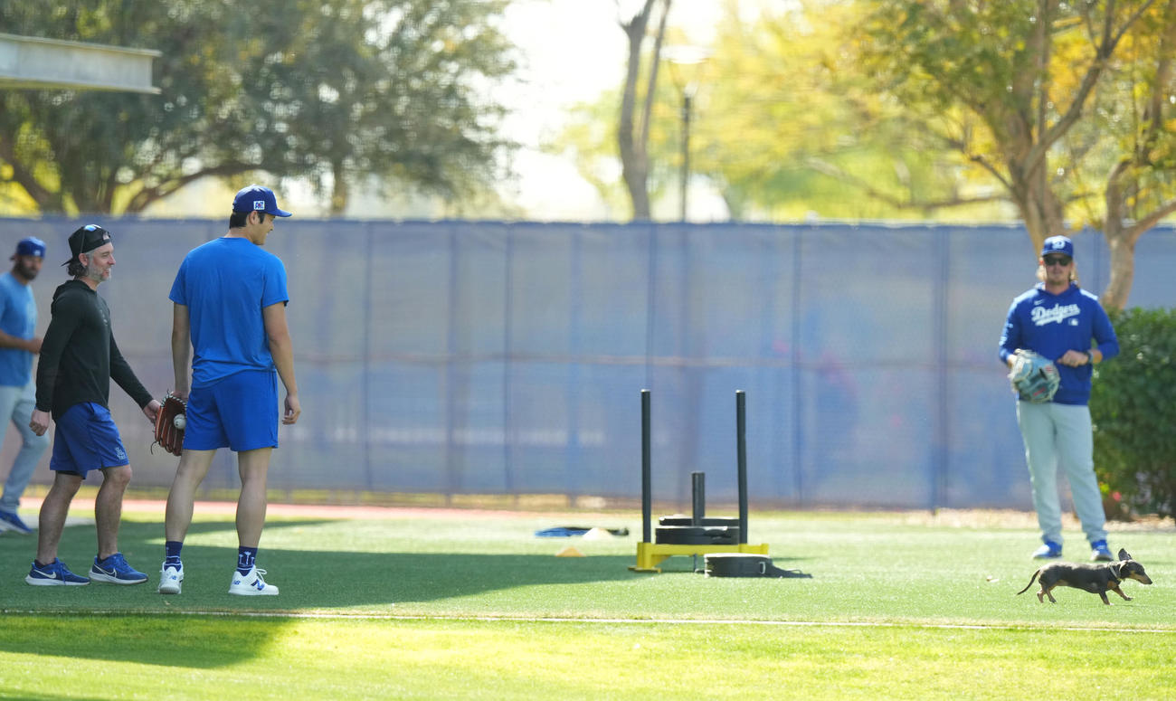キャンプ地でキャッチボールをするドジャース大谷（左から2人目）は、再び登場したかわいいワンちゃんを笑顔で見つめる（撮影・菅敏）