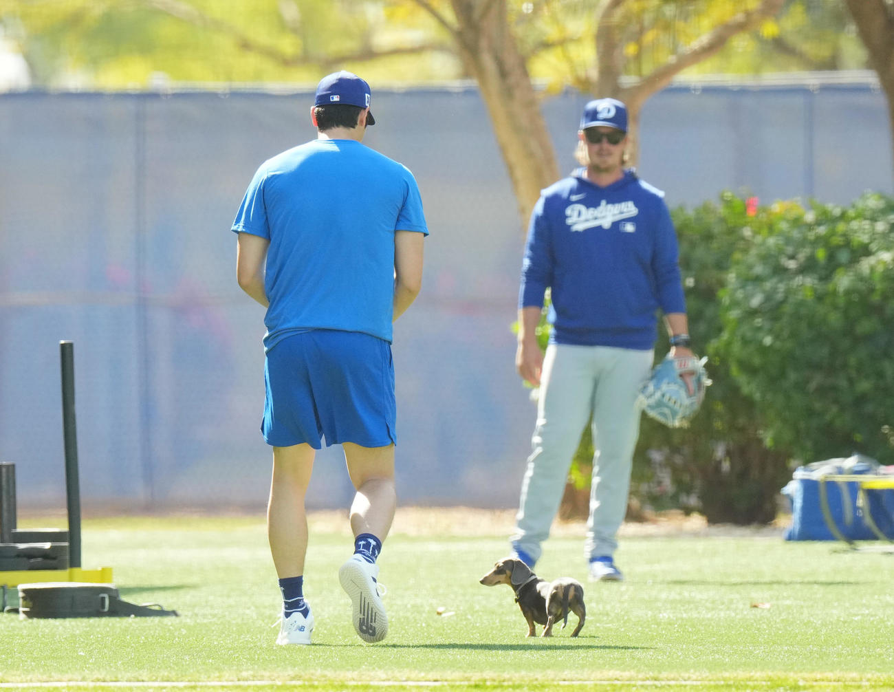 キャンプ地でキャッチボールをするドジャース大谷（手前）は、フィールドに登場したかわいいワンちゃんに歩み寄る（撮影・菅敏）