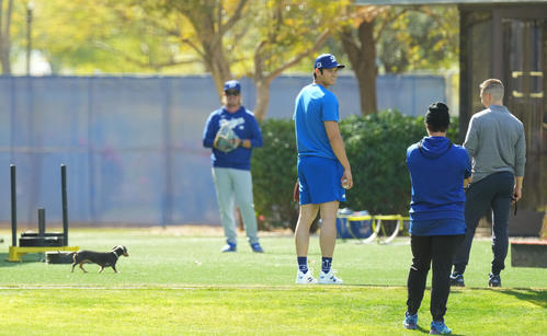 キャンプ地でキャッチボールをするドジャース大谷（中央）は、フィールドに登場したかわいいワンちゃんを前に笑顔を見せる（撮影・菅敏）