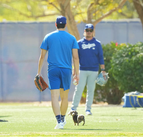 キャンプ地でキャッチボールをするドジャース大谷（手前）は、フィールドに登場したかわいいワンちゃんに歩み寄る（撮影・菅敏）