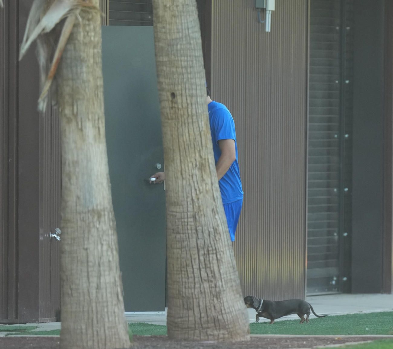 キャンプ地でキャッチボールをするドジャース大谷は、フィールドに登場したかわいいワンちゃんに歩み寄り、室内練習場に誘導する（撮影・菅敏）