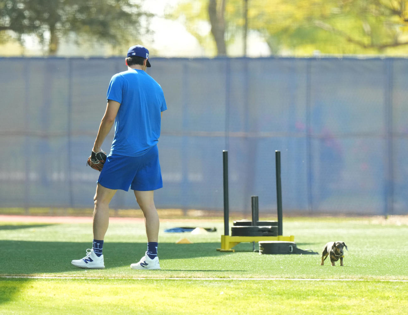 キャンプ地でキャッチボールをするドジャース大谷翔平は、再び登場したかわいいワンちゃんを前にする（撮影・菅敏）