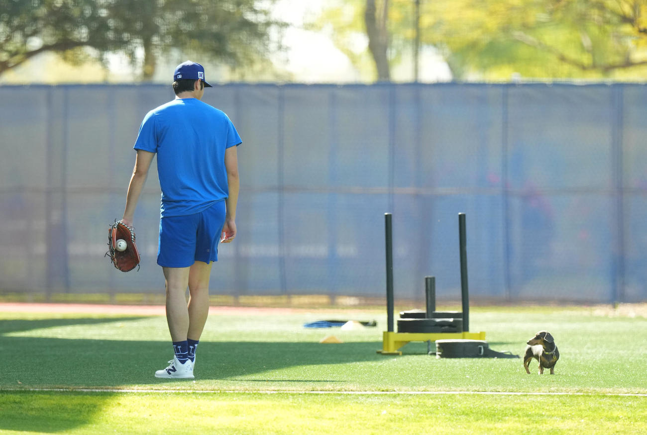 キャンプ地でキャッチボールをするドジャース大谷翔平は、再び登場したかわいいワンちゃんを前にする（撮影・菅敏）