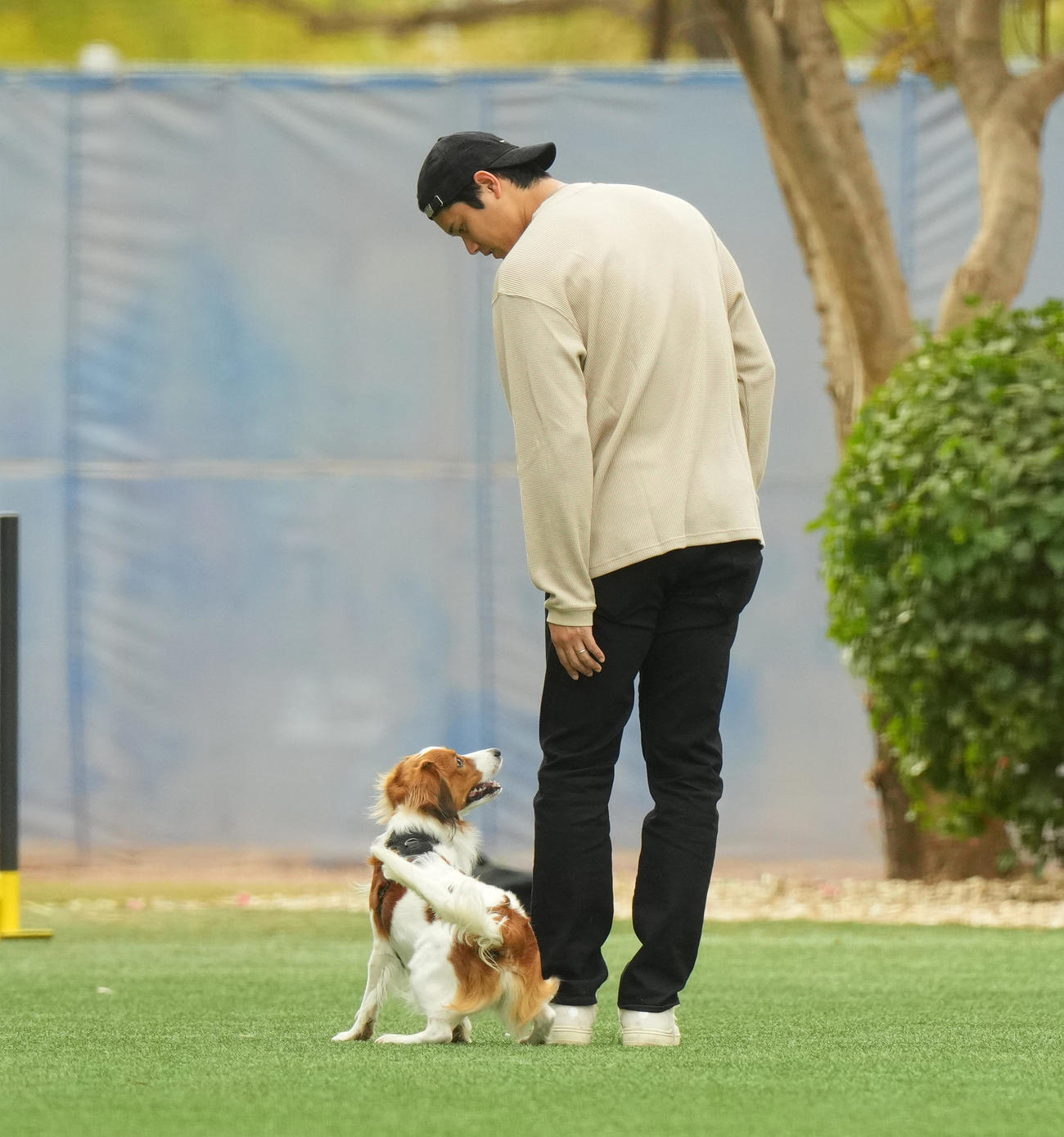 キャンプ地の施設を愛犬デコピンと遊ぶドジャース大谷（撮影・菅敏）