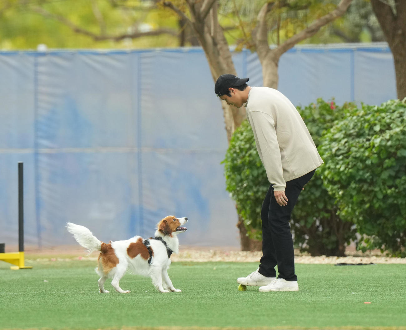 キャンプ地の施設を愛犬デコピンと遊ぶドジャース大谷（撮影・菅敏）