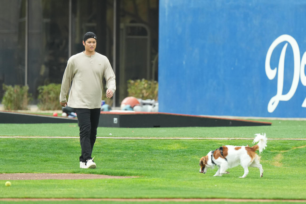 キャンプ地の施設を愛犬デコピンと遊ぶドジャース大谷（撮影・菅敏）
