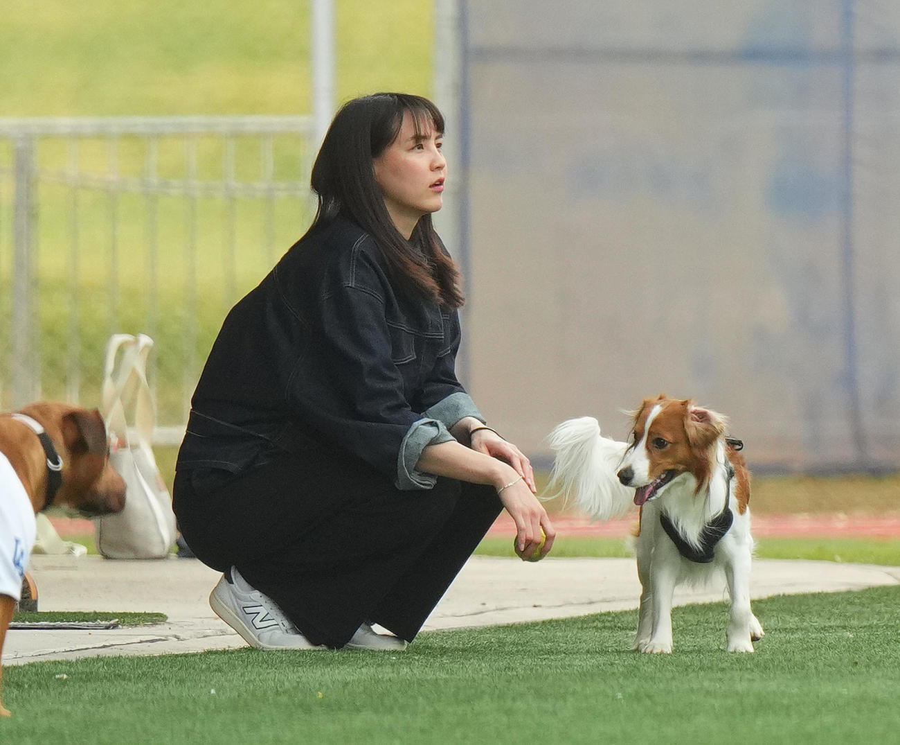 キャンプ地で愛犬デコピンに歩み寄る真美子夫人（撮影・菅敏）