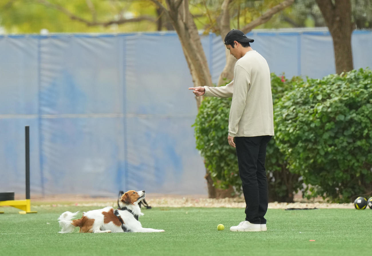 キャンプ地の施設を愛犬デコピンと遊ぶドジャース大谷（撮影・菅敏）