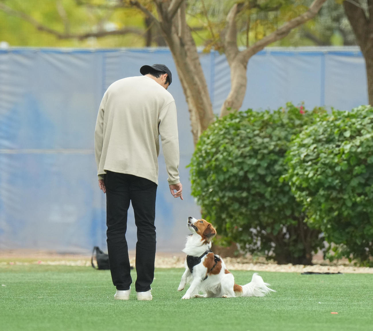 キャンプ地の施設を愛犬デコピンと遊ぶドジャース大谷（撮影・菅敏）