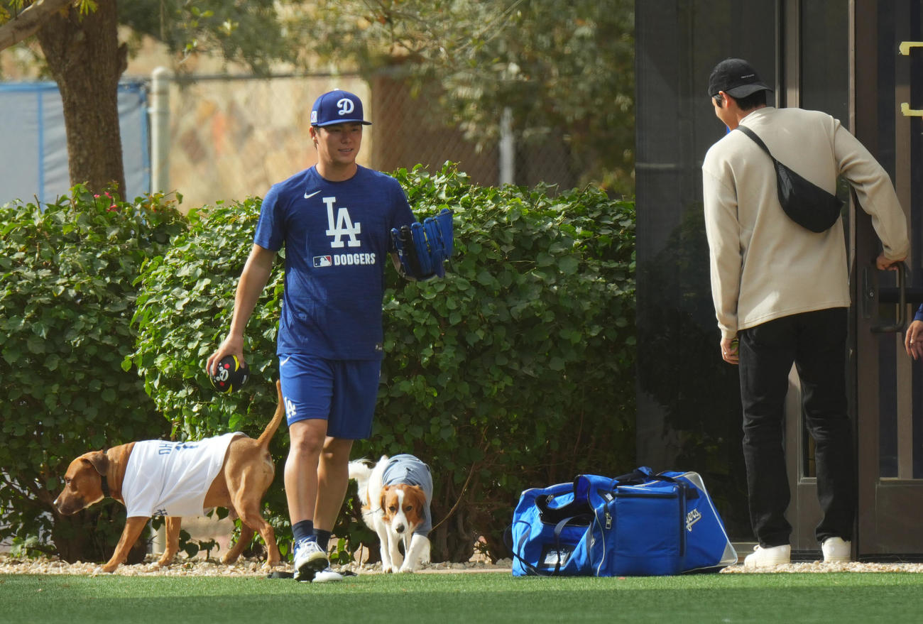 キャンプ地で大谷（右）の愛犬デコピン（後方中央）ともう1匹のワンちゃんに囲まれ、自主トレを行うドジャース山本（撮影・菅敏）