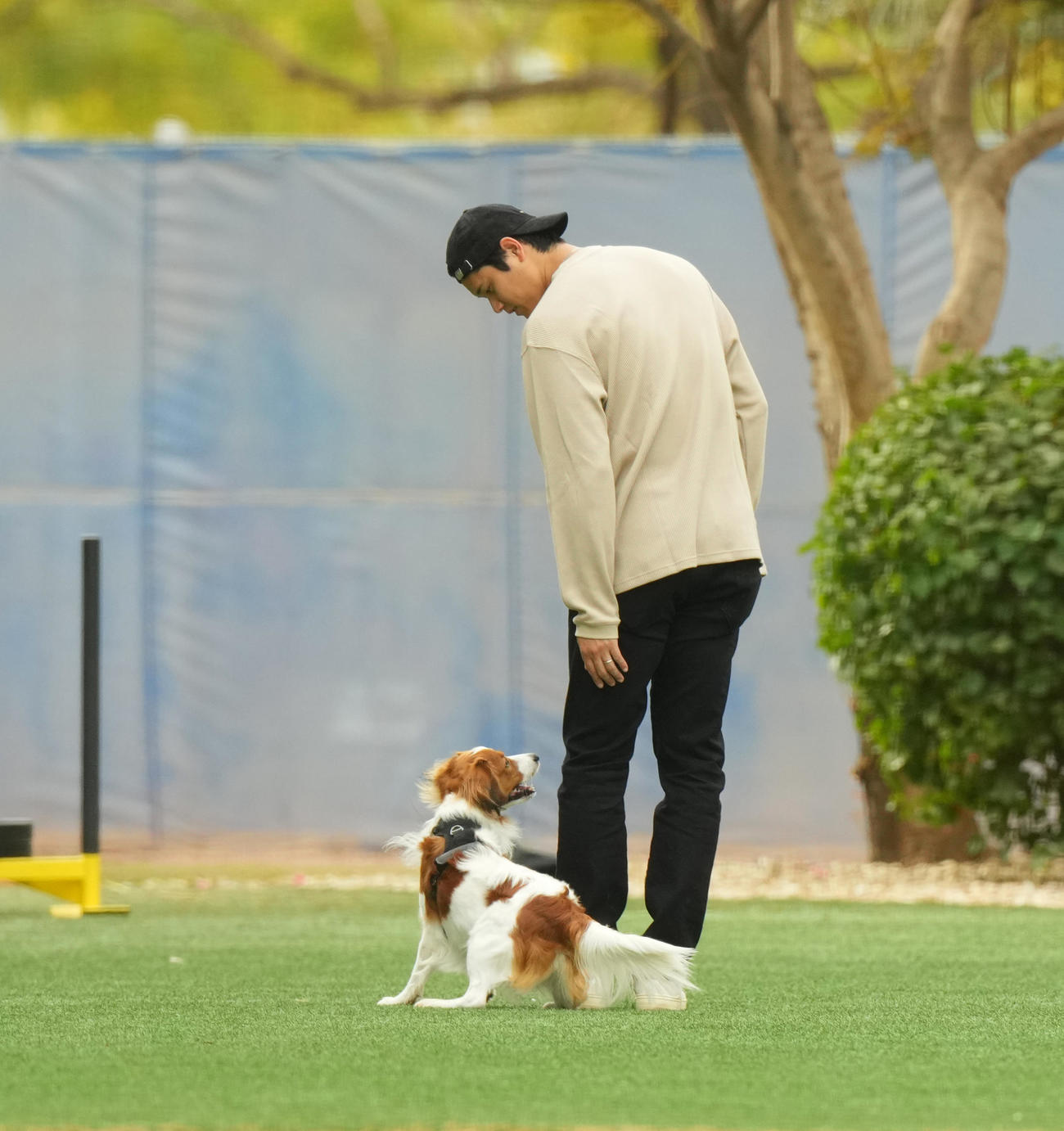 キャンプ地でデコピンくんと遊ぶドジャース大谷（撮影・菅敏）