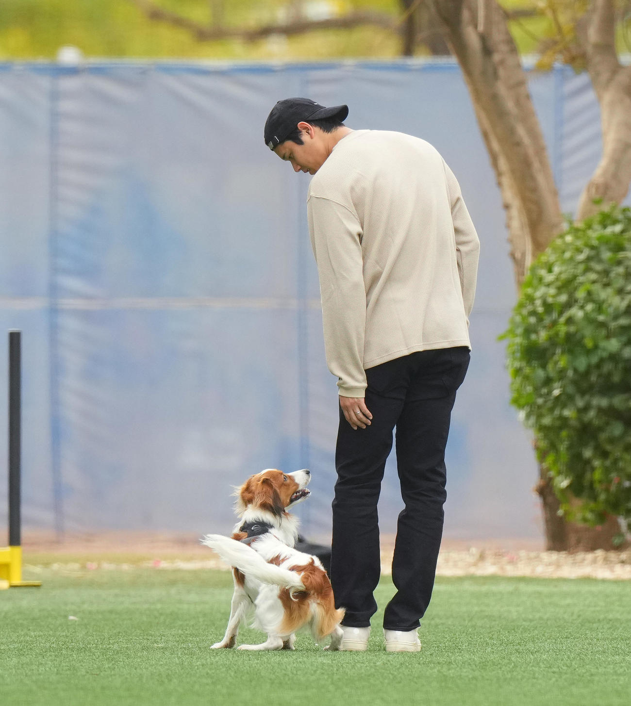 キャンプ地の施設を愛犬デコピンと遊ぶドジャース大谷（撮影・菅敏）