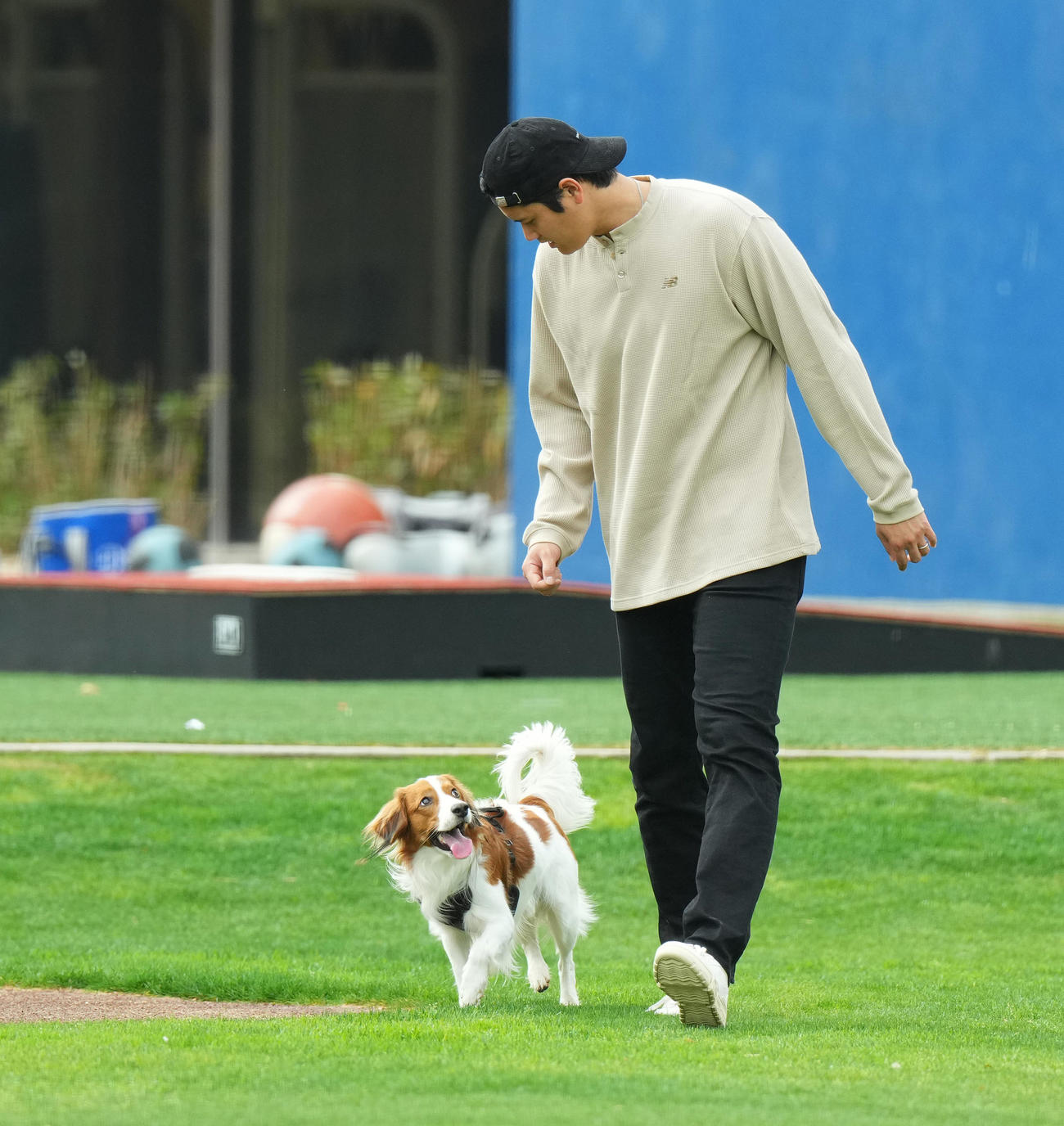 キャンプ地で愛犬デコピンと遊ぶドジャース大谷（撮影・菅敏）