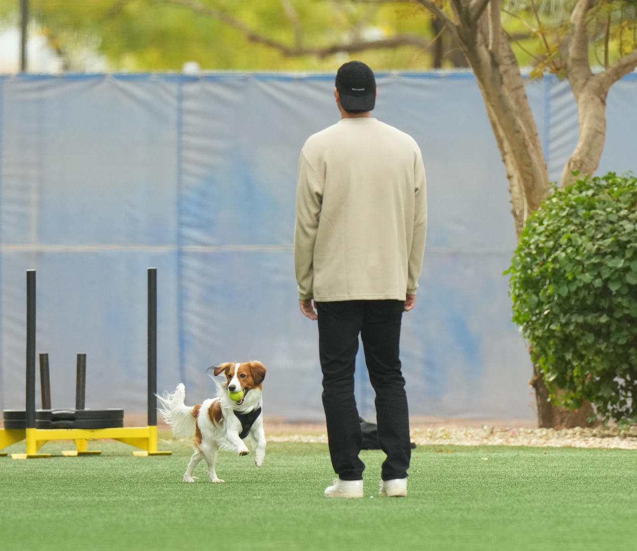 キャンプ地で愛犬デコピンと遊ぶドジャース大谷（撮影・菅敏）