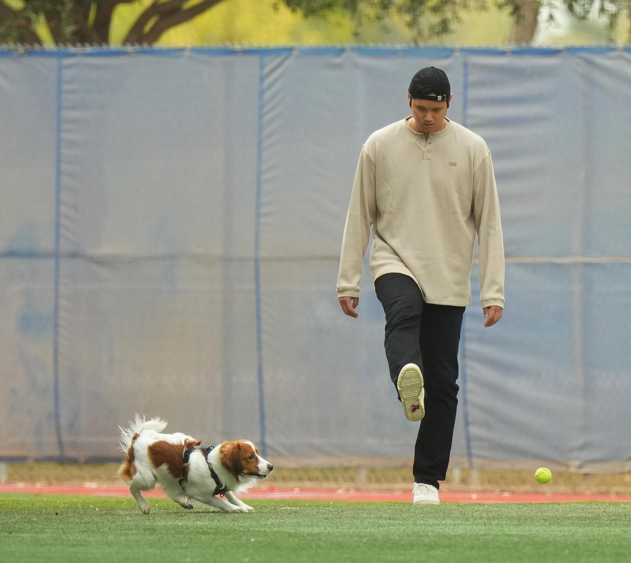 キャンプ地の施設を愛犬デコピンと遊ぶドジャース大谷（撮影・菅敏）