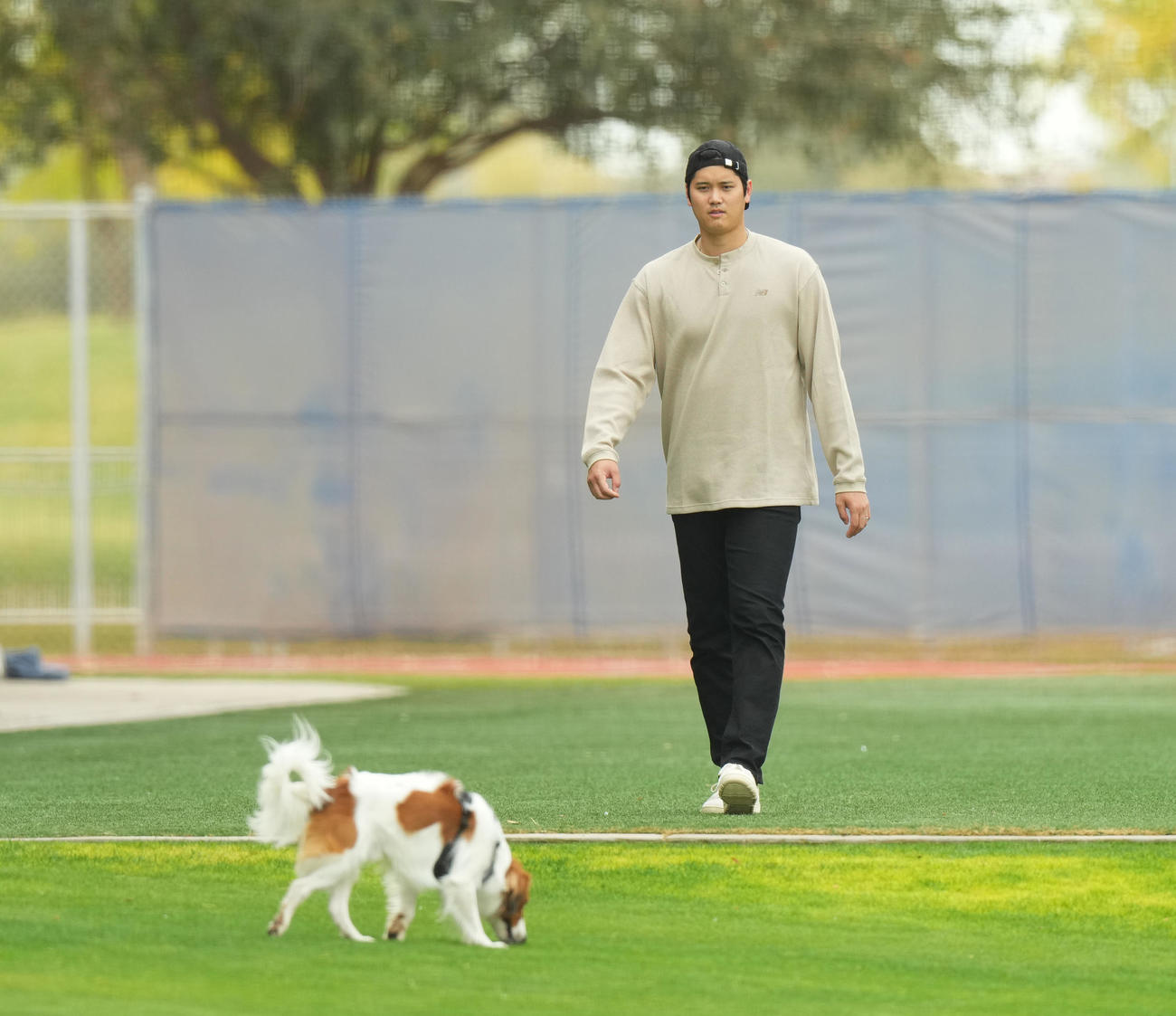キャンプ地の施設を愛犬デコピンと遊ぶドジャース大谷（撮影・菅敏）