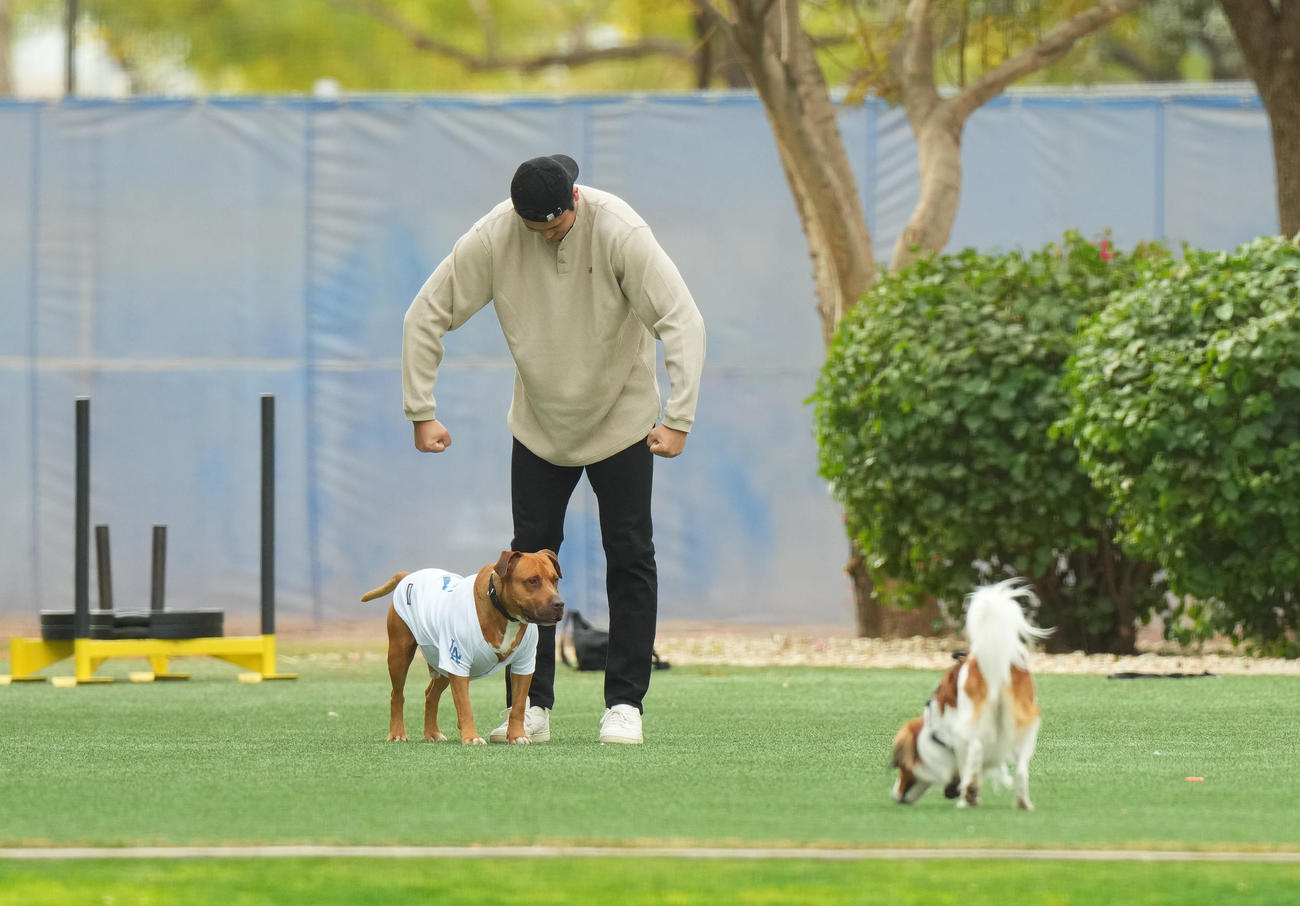 キャンプ地で関係者のワンちゃんのマネをするドジャース大谷。手前は遊ぶ愛犬デコピン（撮影・菅敏）