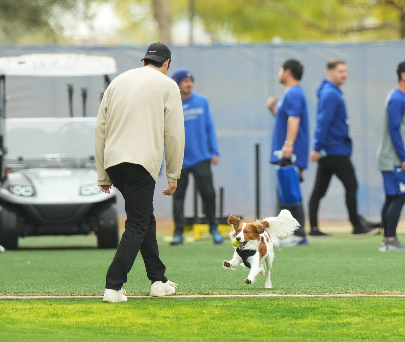 キャンプ地で愛犬デコピンと遊ぶドジャース大谷（撮影・菅敏）