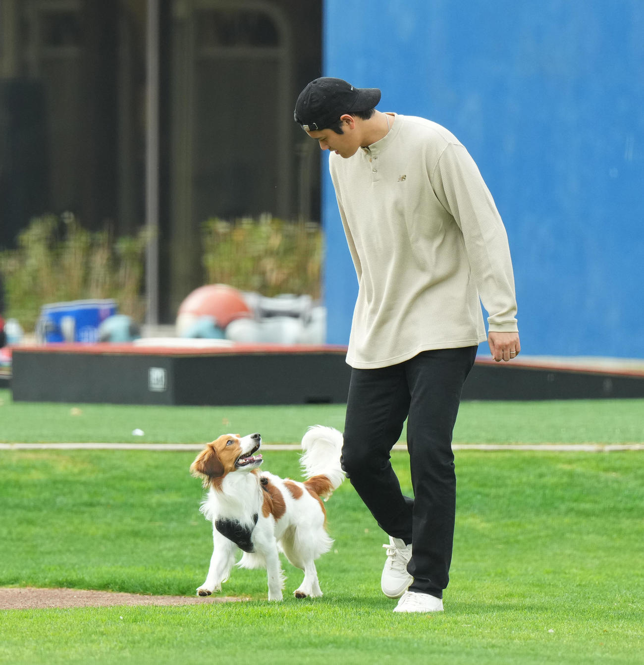 キャンプ地で愛犬デコピンと遊ぶドジャース大谷（撮影・菅敏）