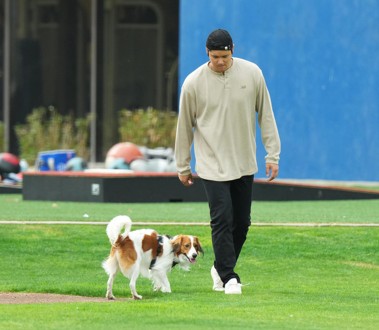 キャンプ地で愛犬デコピンと遊ぶドジャース大谷（撮影・菅敏）
