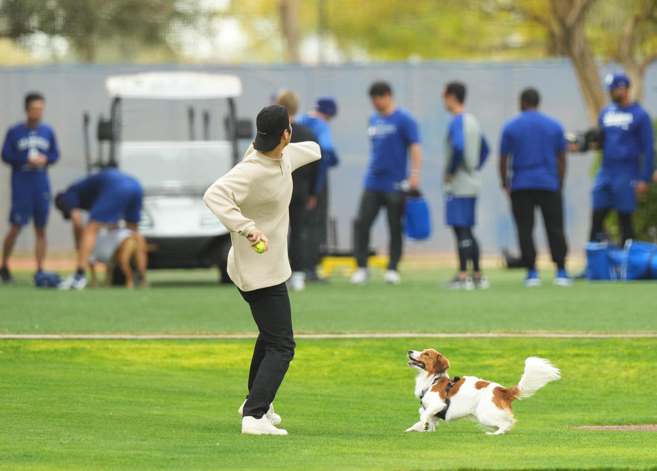 キャンプ地で愛犬デコピンと遊ぶドジャース大谷（撮影・菅敏）