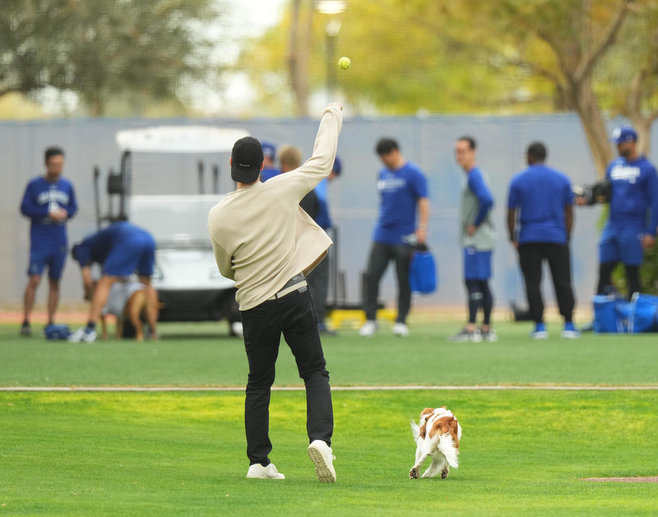 キャンプ地で愛犬デコピンと遊ぶドジャース大谷（撮影・菅敏）