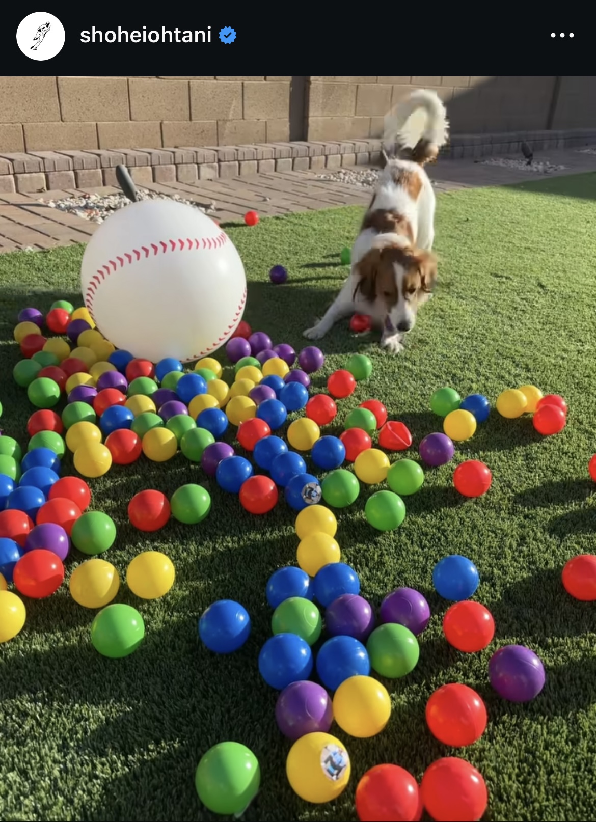 大谷のインスタグラムから