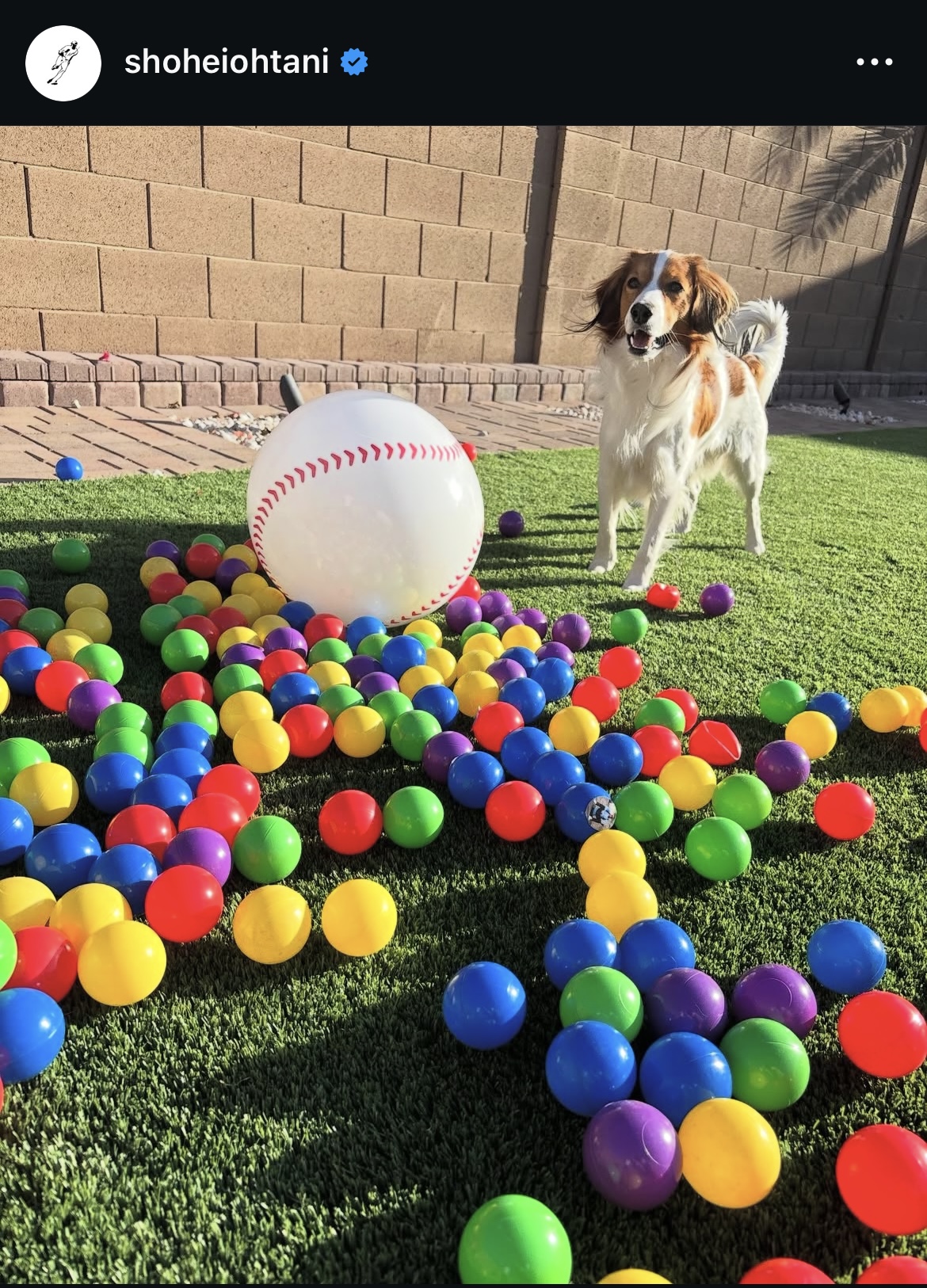 大谷のインスタグラムから