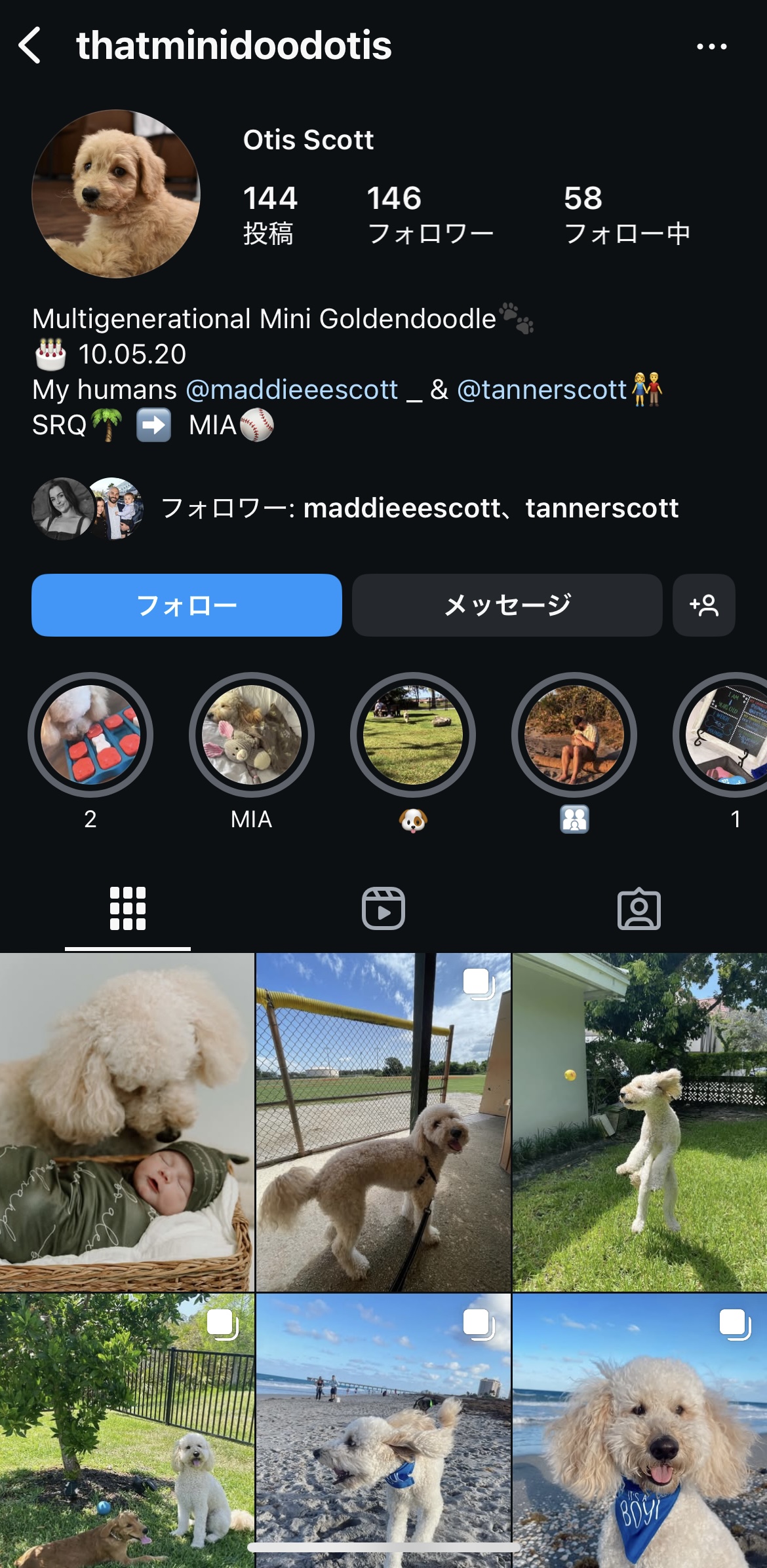スコット夫妻の愛犬オーティスのインスタグラムから