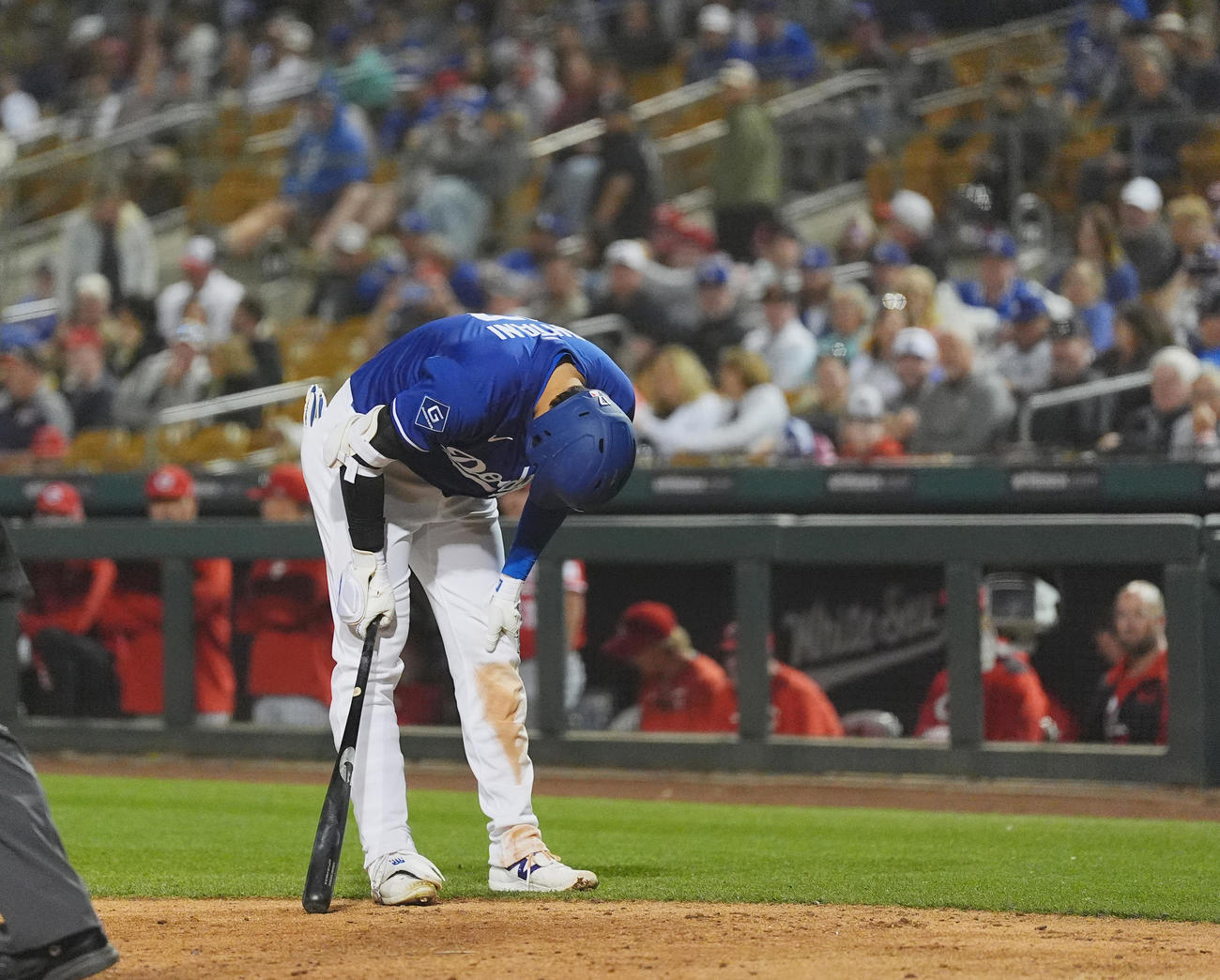 5回裏ドジャース1死、自打球を左足に受け、もん絶する大谷（撮影・菅敏）