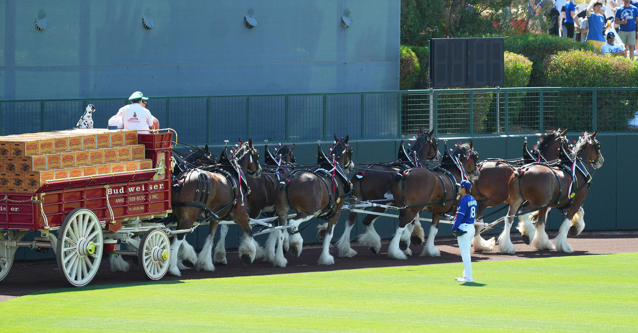 オープン戦・ドジャース対ダイヤモンドバックス　試合前、大きな馬車を引っ張る馬を見つめるドジャース山本（撮影・菅敏）