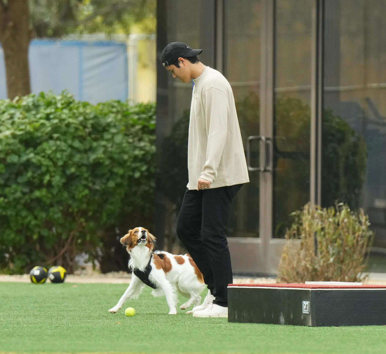 キャンプ地でデコピンくんと遊ぶドジャース大谷（撮影・菅敏）