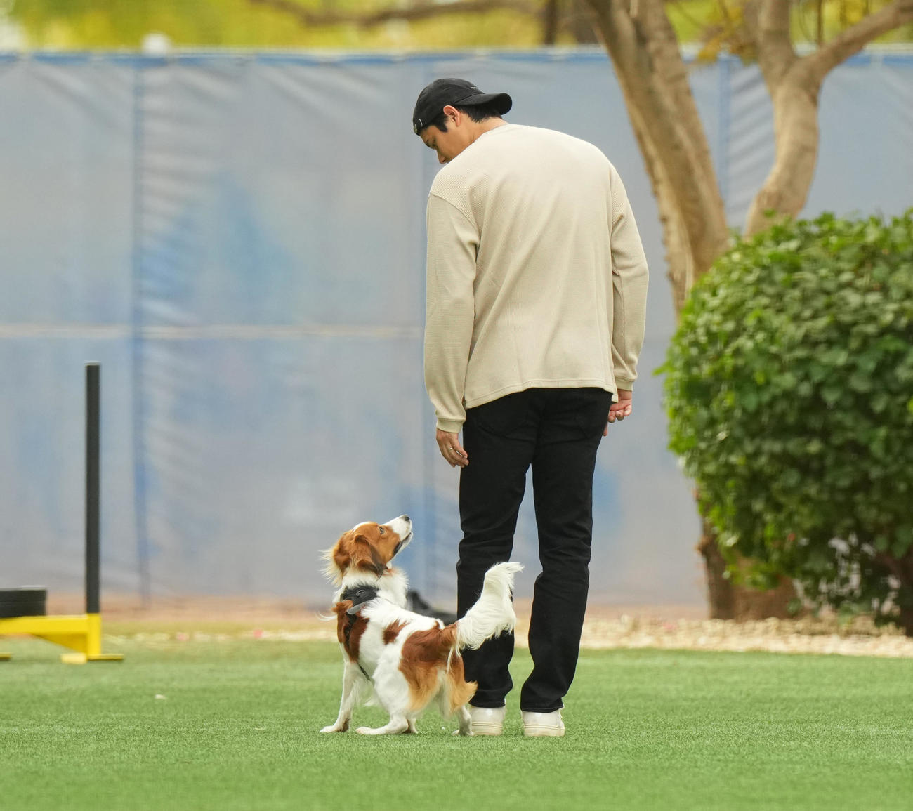 キャンプ地でデコピンくんと遊ぶドジャース大谷（撮影・菅敏）