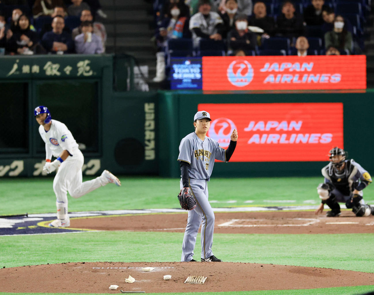 阪神対カブス　4回表カブス1死、鈴木を中飛に仕留める門別（撮影・浅見桂子）