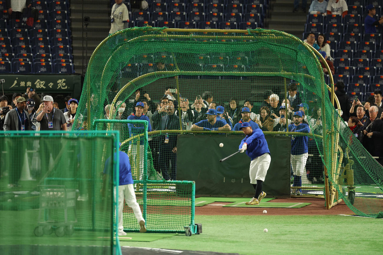 ドジャース対カブス　試合前、打撃練習するカブス鈴木（撮影・河田真司）