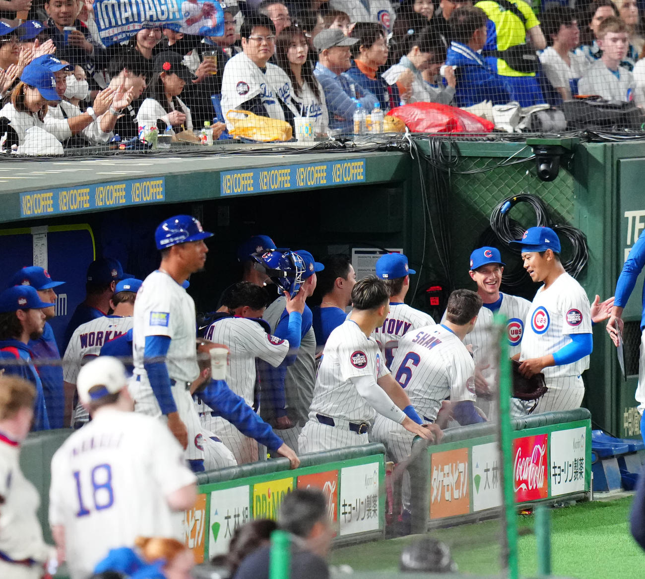 カブス対ドジャース　4回表終了後、ベンチに引き揚げたカブス先発の今永（右端）（撮影・江口和貴）
