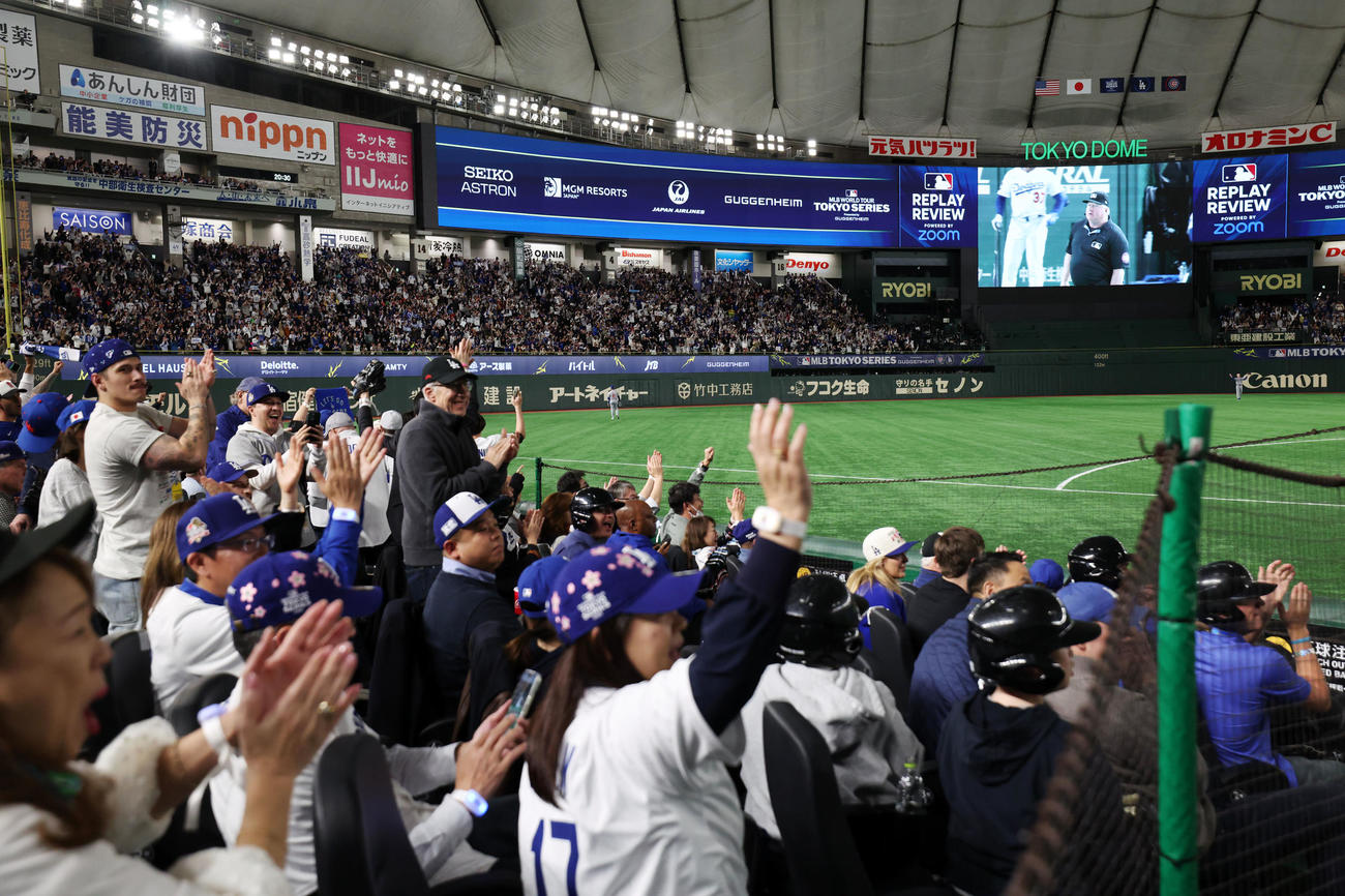 カブス対ドジャース　5回表ドジャース1死、リプレー検証の結果、本塁打が確定し歓喜する観客（撮影・横山健太）