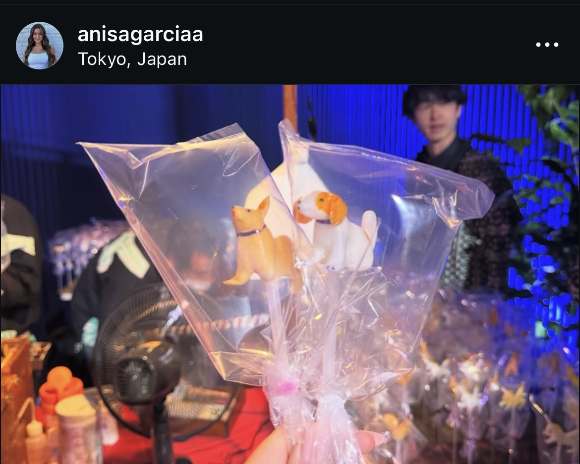 ナックの婚約者アニサさんのインスタグラムから