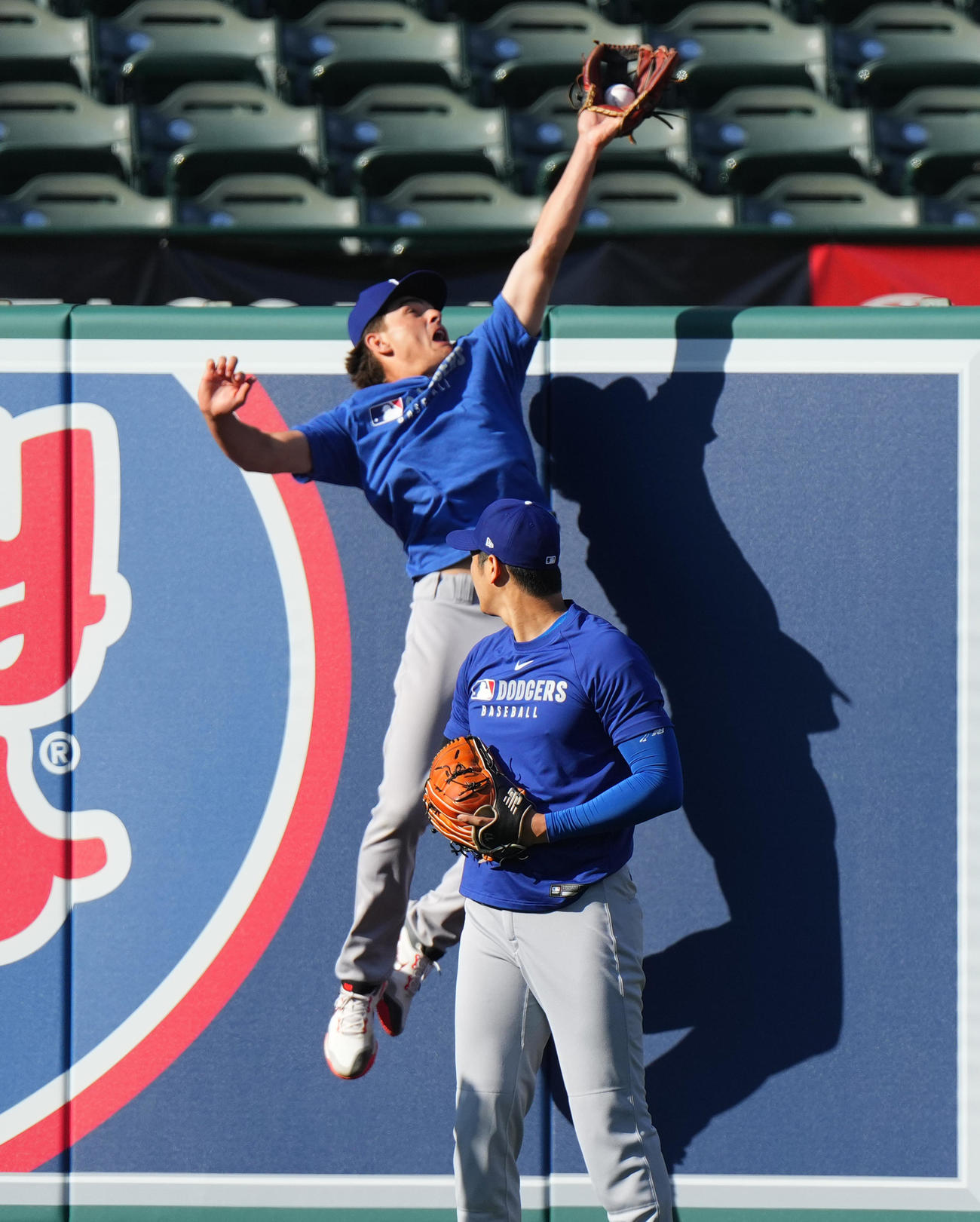 オープン戦エンゼルス対ドジャース　試合前、キャッチボールをするドジャース大谷は、打撃練習のボールを好捕するナインを見つめる（撮影・菅敏）