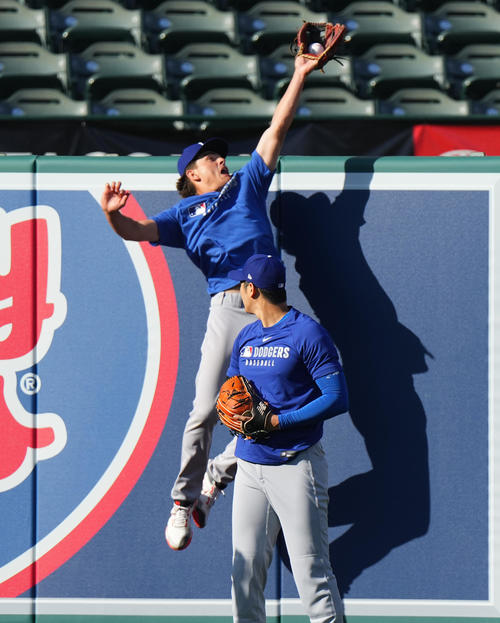 オープン戦エンゼルス対ドジャース　試合前、キャッチボールをするドジャース大谷は、打撃練習のボールを好捕するナインを見つめる（撮影・菅敏）