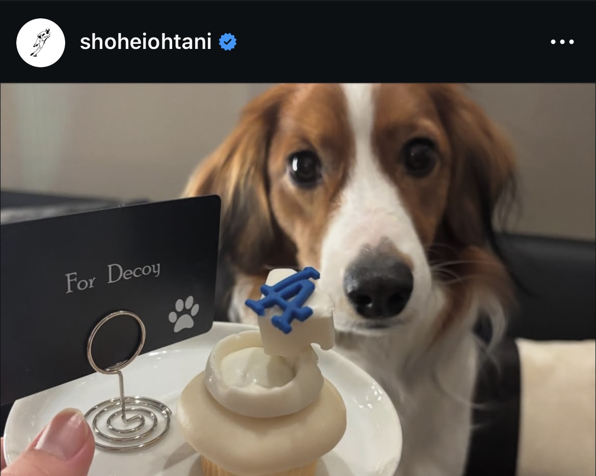 大谷のインスタグラムから