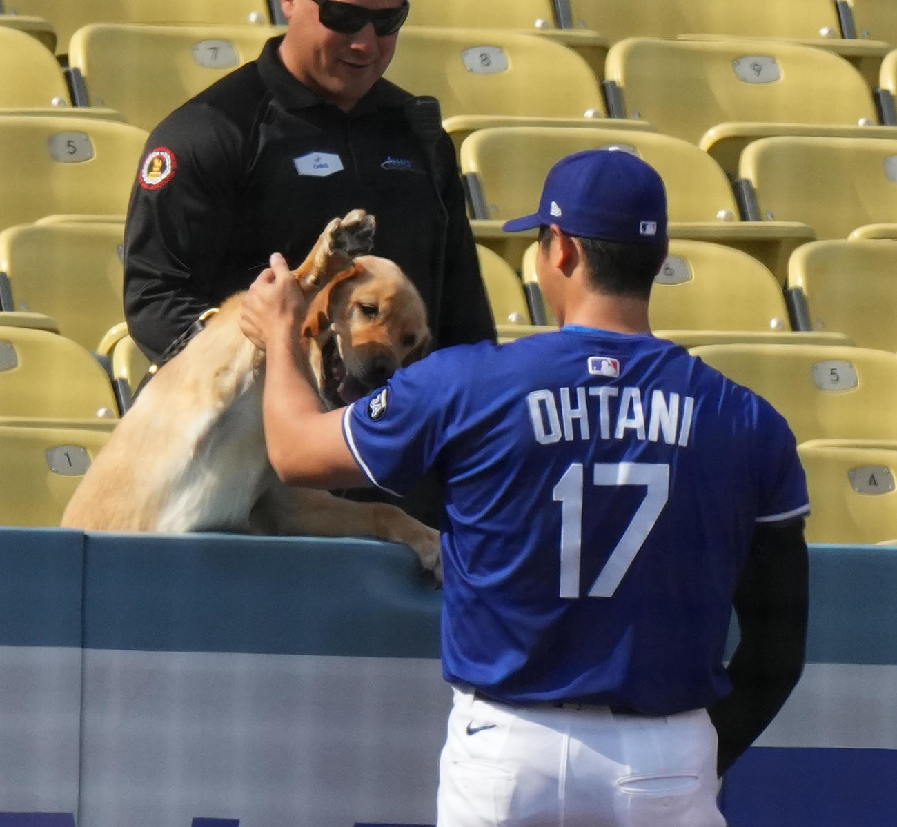 ドジャース対タイガース　試合前の練習中にワンちゃんと遊ぶドジャース大谷（撮影・菅敏）