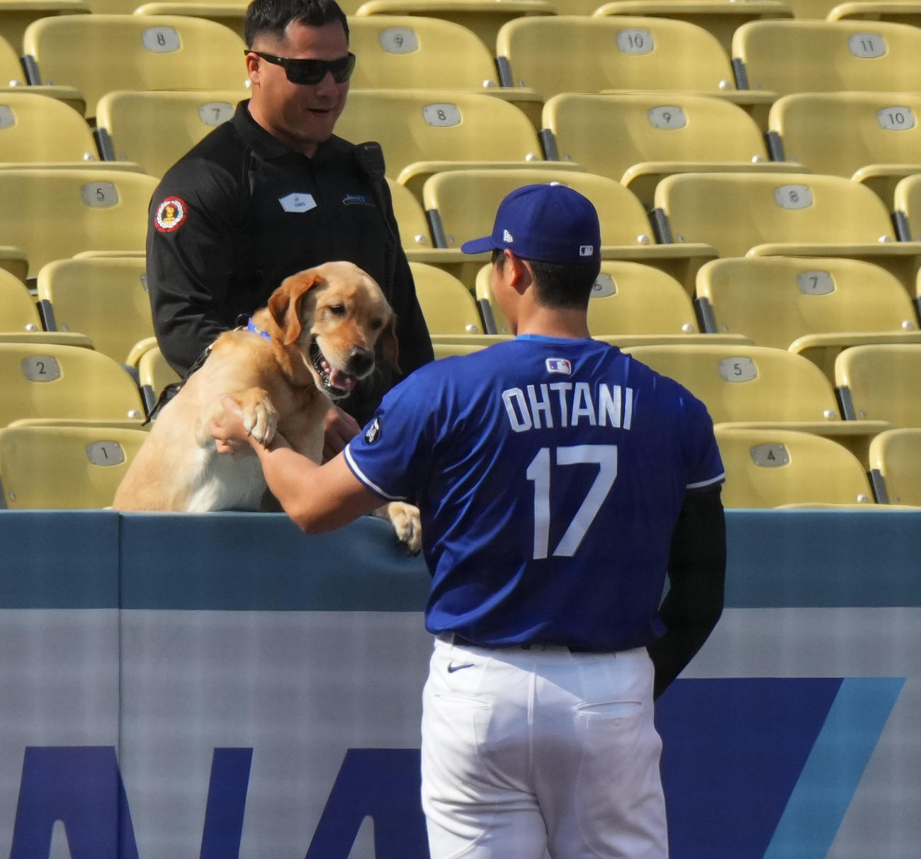 ドジャース対タイガース　試合前の練習中にワンちゃんと遊ぶドジャース大谷（撮影・菅敏）