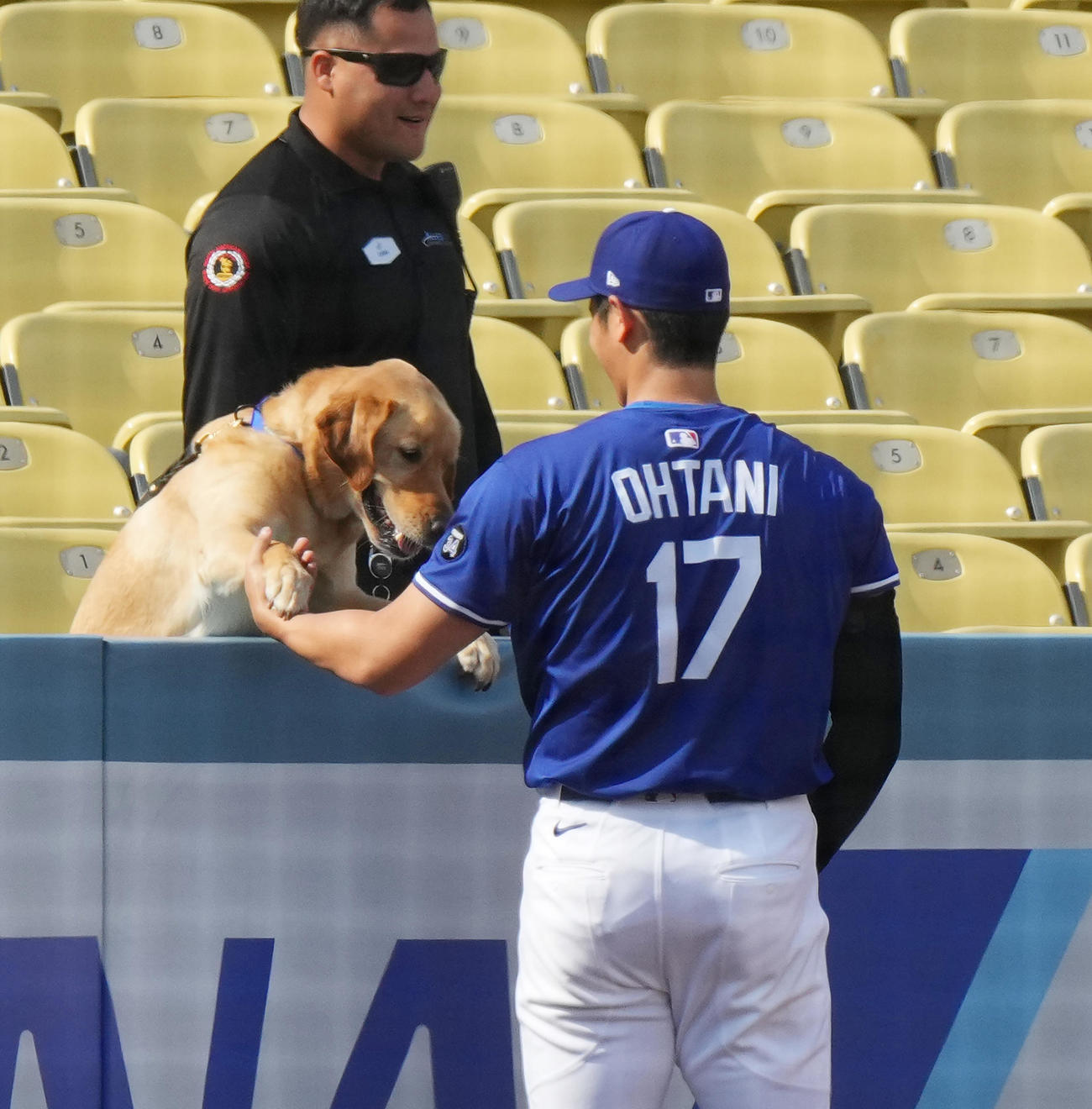 ドジャース対タイガース　試合前の練習中にワンちゃんと遊ぶドジャース大谷（撮影・菅敏）