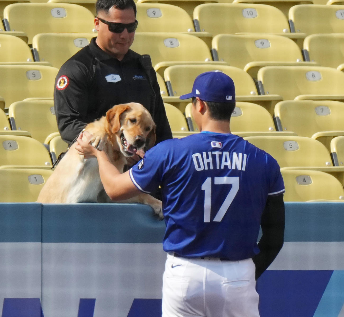 ドジャース対タイガース　試合前の練習中にワンちゃんと遊ぶドジャース大谷（撮影・菅敏）