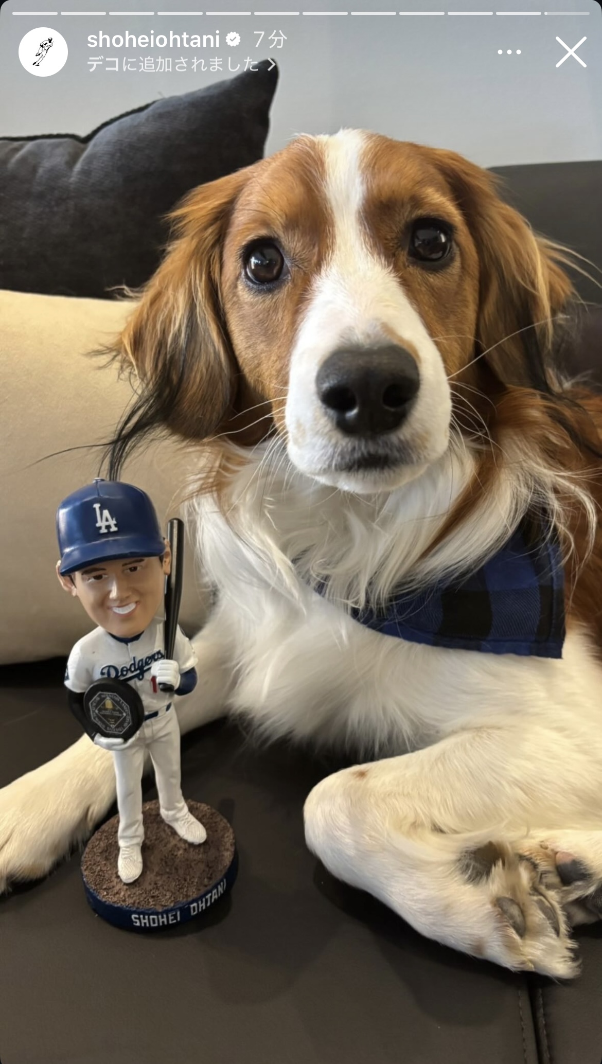 大谷のインスタグラムから