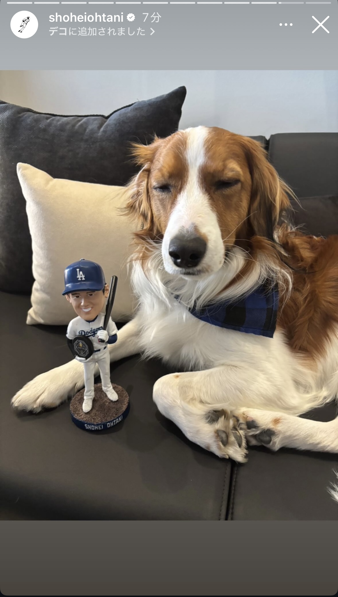 大谷のインスタグラムから
