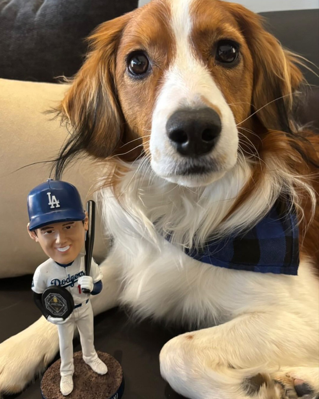 MLBの公式Xから