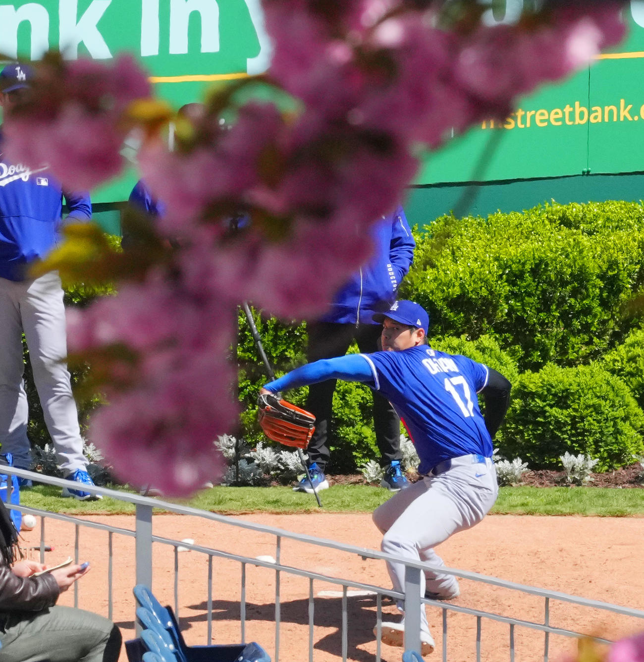 ナショナルズ対ドジャース　試合前、満開の桜を前にブルペンで投球練習をするドジャース大谷（撮影・菅敏）